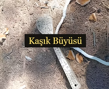 Bakım / su falı / merak